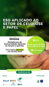 3 .  ESG aplicado ao Setor de Celulose e Papel